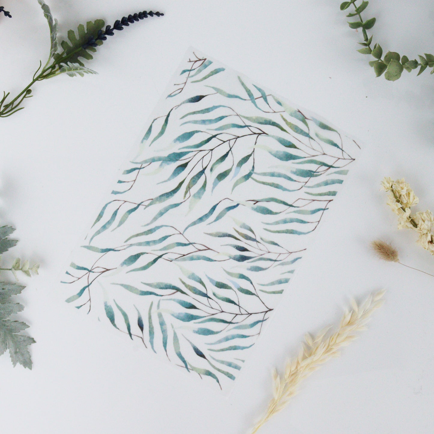 Printed Vellum Botanical Paper