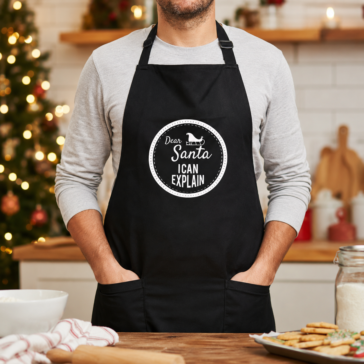 Dear Santa I Can Explain Christmas Apron