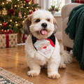 Dog wearing a personalised Santa Christmas bandana by the tree