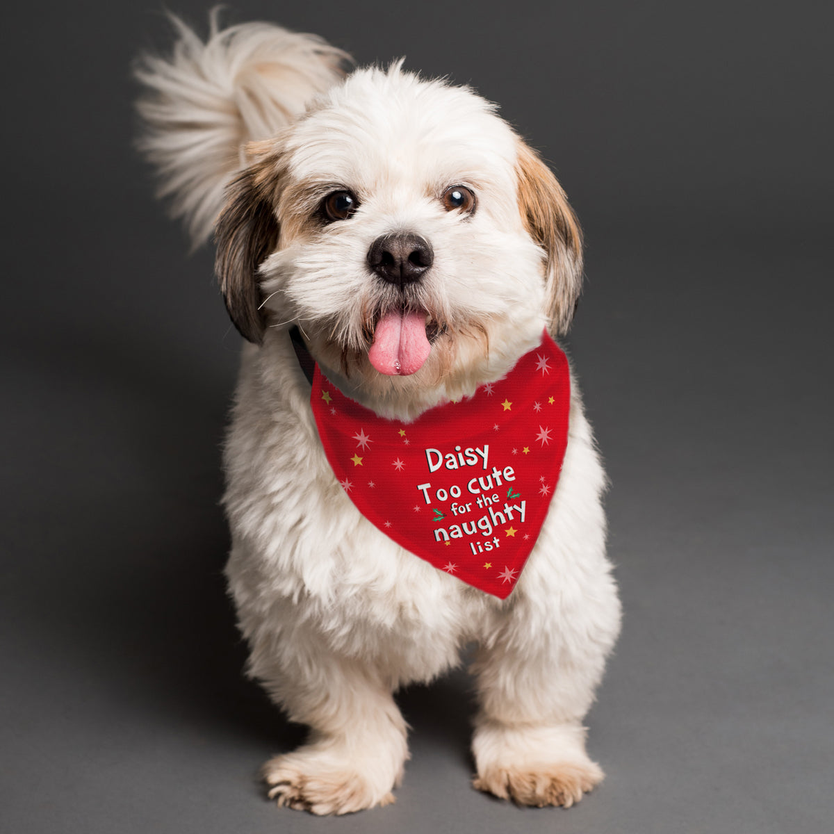 Personalised Too Cute for the Naughty List Dog Bandana with personalised text, view 4