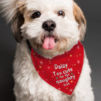 Personalised Too Cute for the Naughty List Dog Bandana with personalised text, view 3