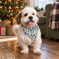 Dog wearing a personalised grey Christmas tree bandana in front of the tree