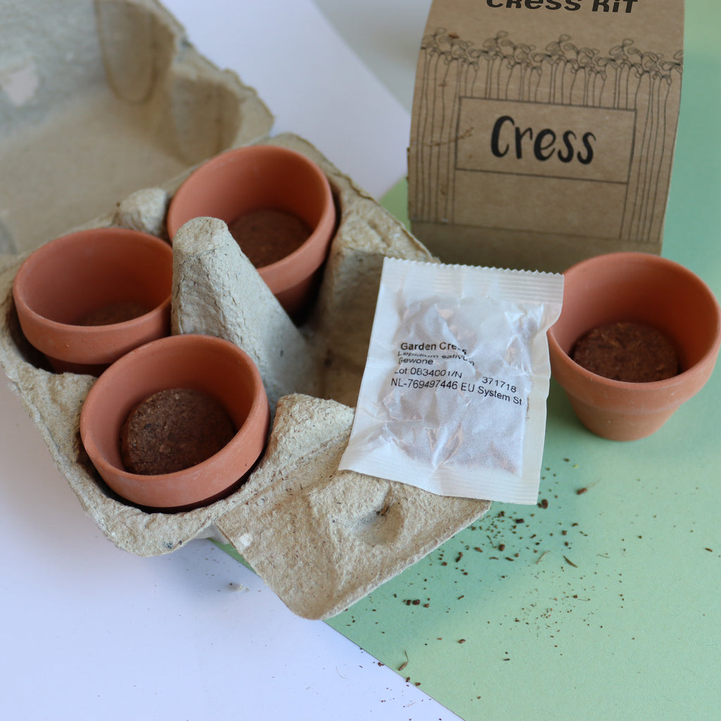Personalised Grow Your Own Cress Easter Kit