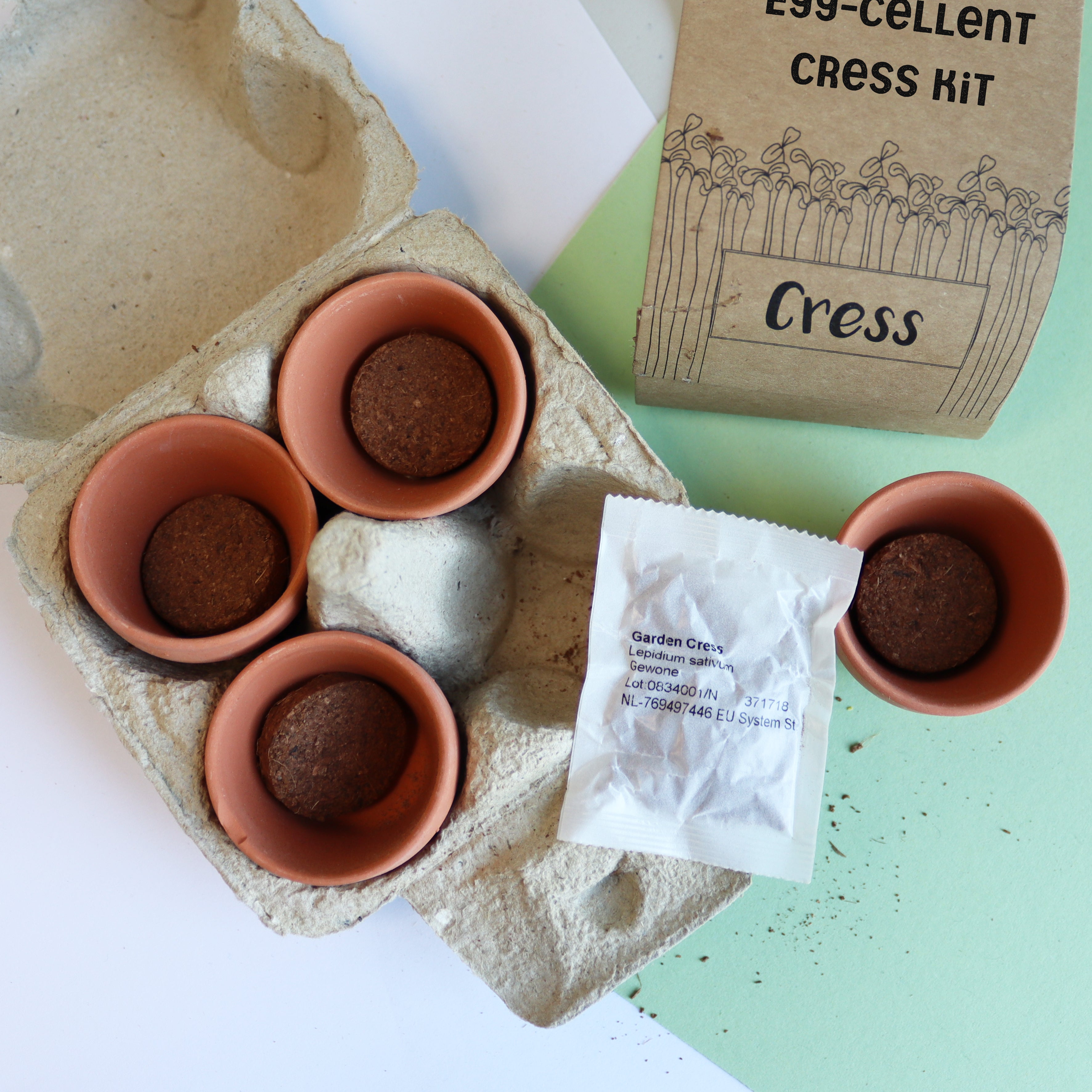 Personalised Grow Your Own Cress Easter Kit