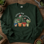 Folded green Succa For Christmas jumper on a wooden table with potted succulents.