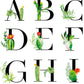 Personalised Succulent Cactus Name Print