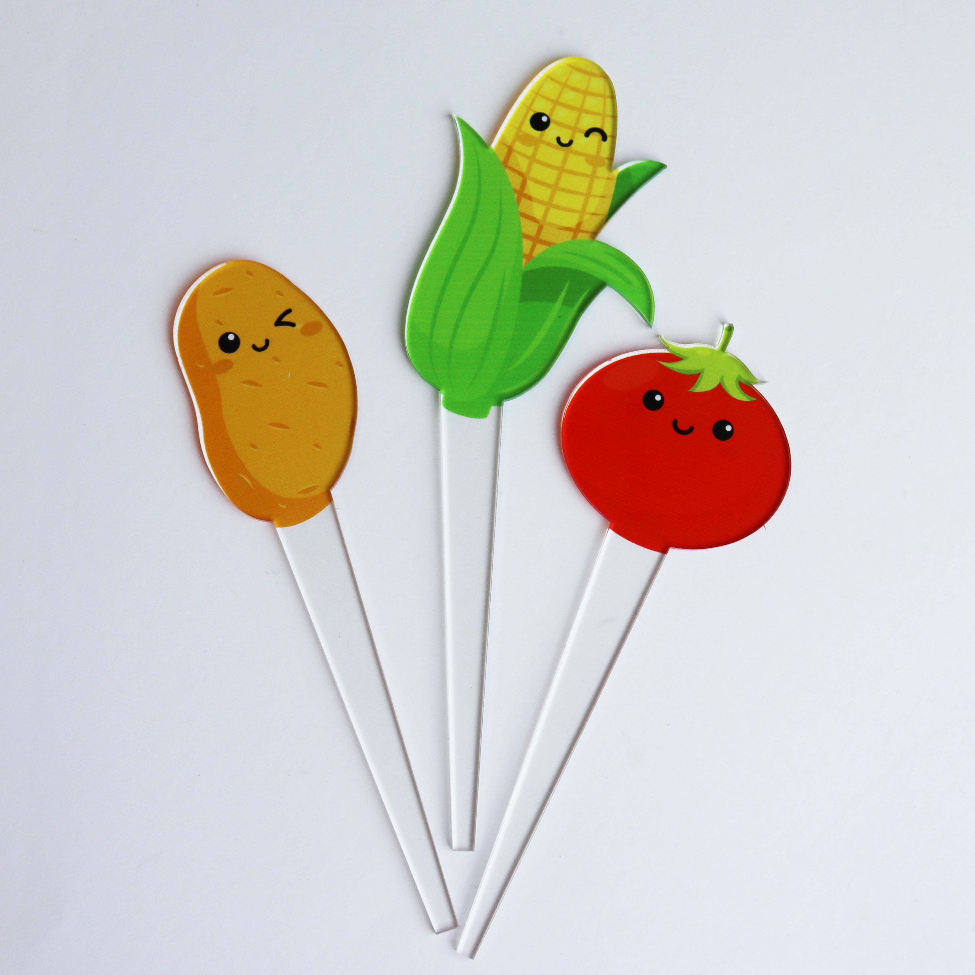 Set Of 12 Cute Veg And Fruit Plant Markers
