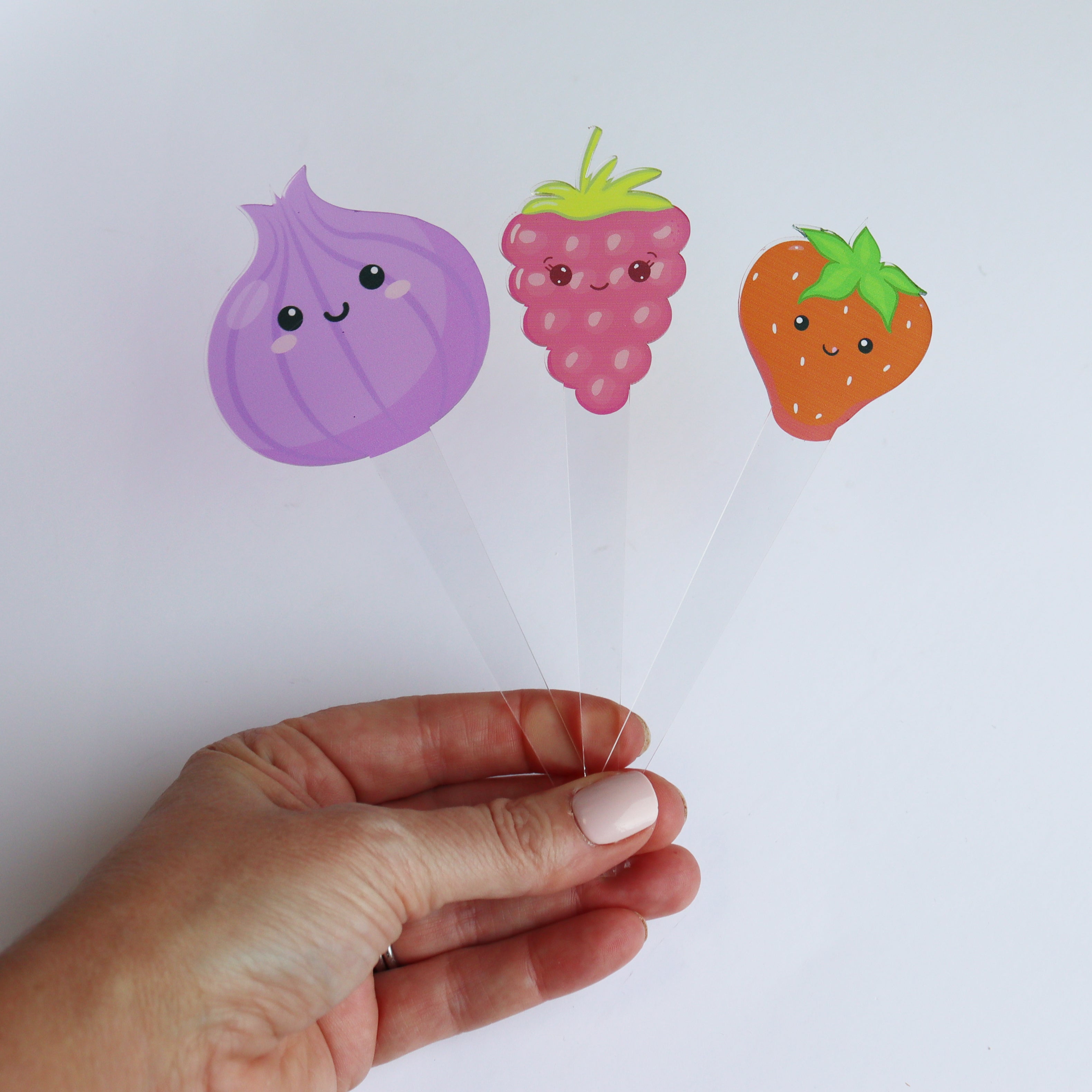 Set Of 12 Cute Veg And Fruit Plant Markers