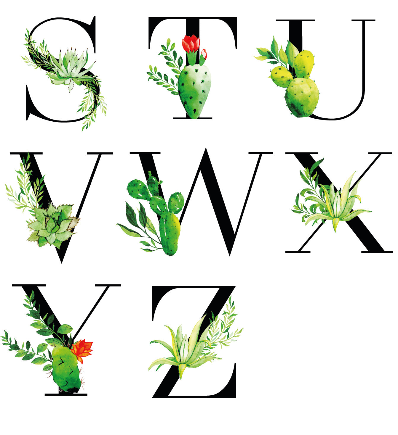 Personalised Succulent Cactus Name Print
